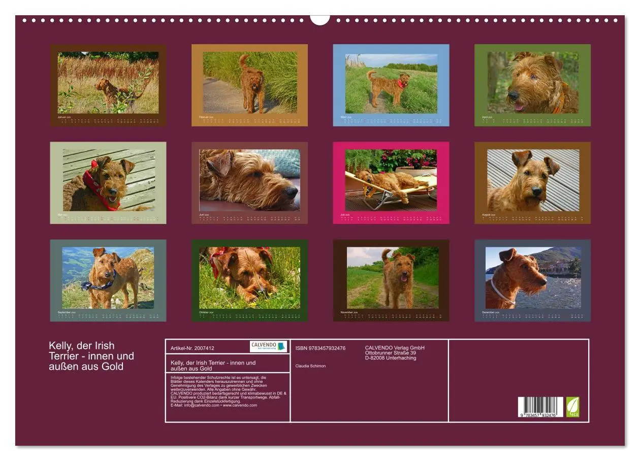Bild: 9783457932476 | Kelly, der Irish Terrier - innen und außen aus Gold (Wandkalender...