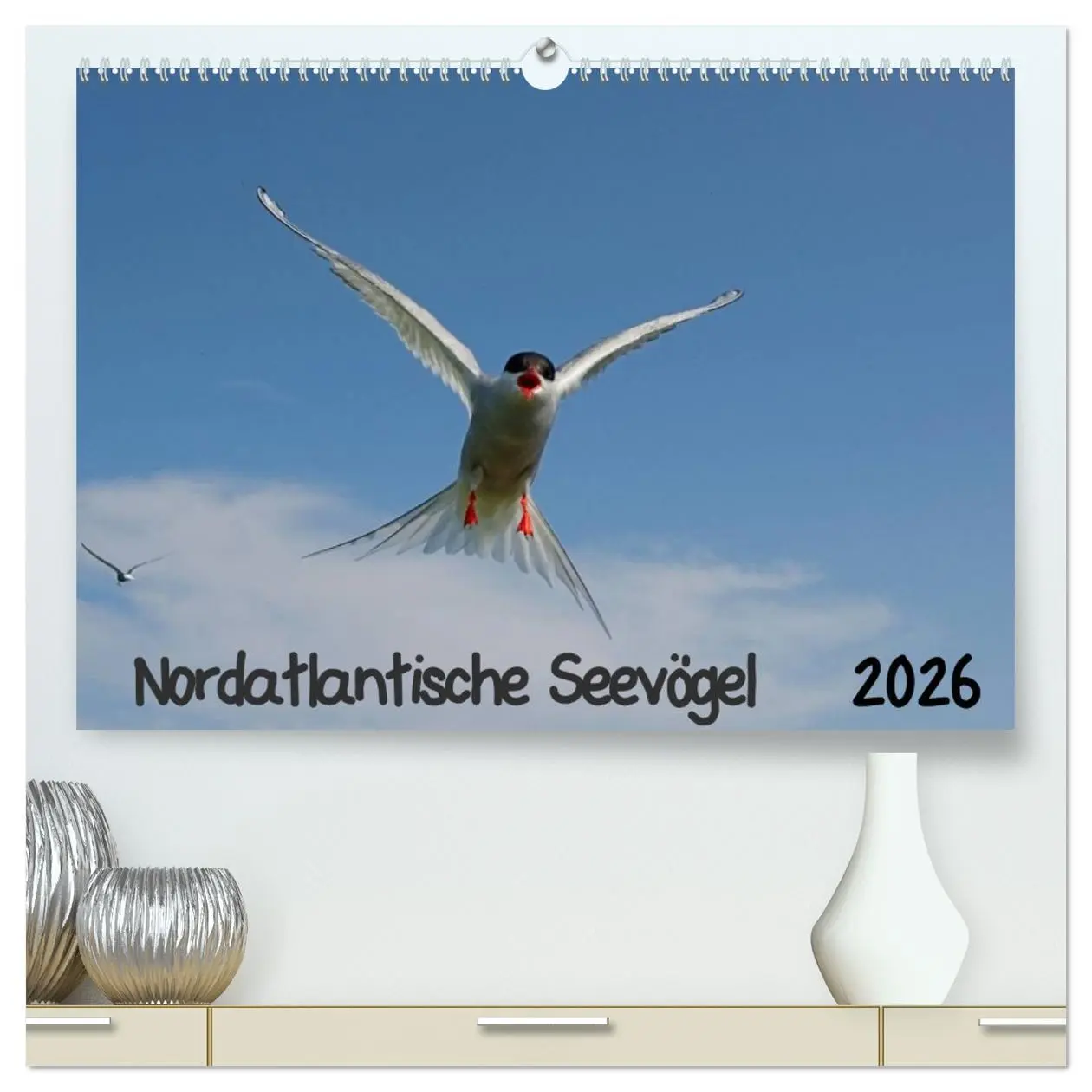 Cover: 9783516192476 | Nordatlantische Seevögel (hochwertiger Premium Wandkalender 2026...
