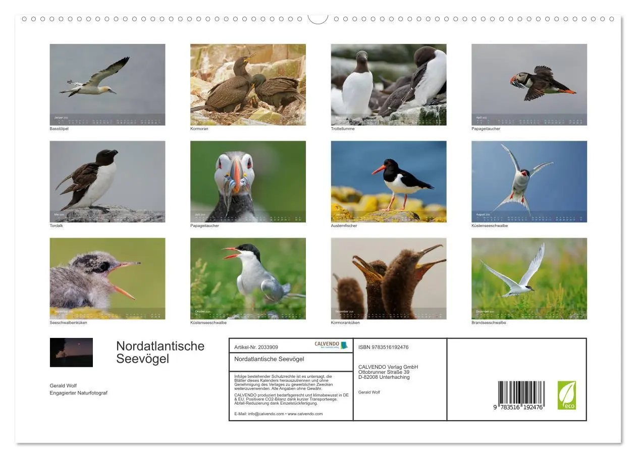 Bild: 9783516192476 | Nordatlantische Seevögel (hochwertiger Premium Wandkalender 2026...