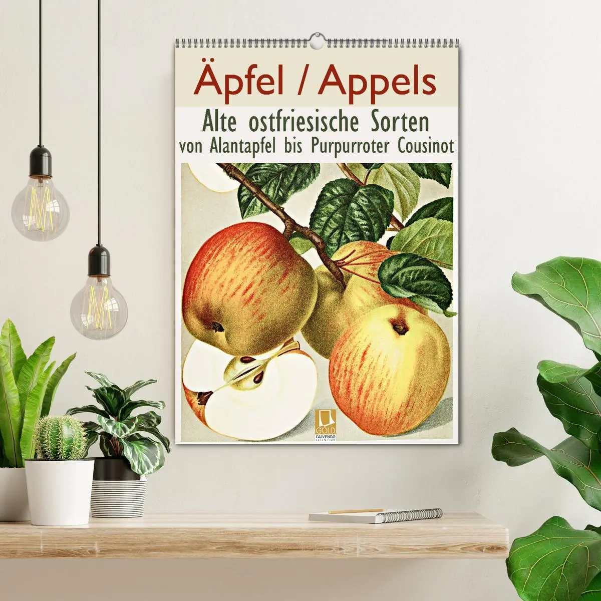 Bild: 9783516402476 | Äpfel/Appels. Alte ostfriesische Sorten (Wandkalender 2026 DIN A2...