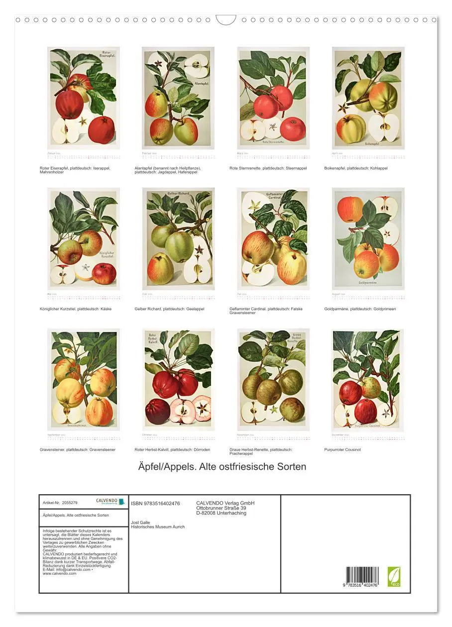 Bild: 9783516402476 | Äpfel/Appels. Alte ostfriesische Sorten (Wandkalender 2026 DIN A2...