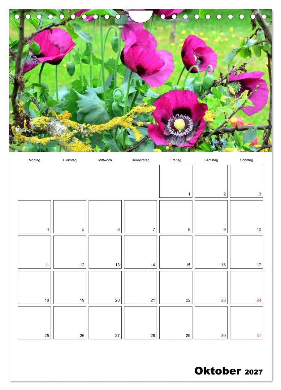 Bild: 9783569732476 | Langeoog - eine Trauminsel (Wandkalender 2027 DIN A4 hoch),...