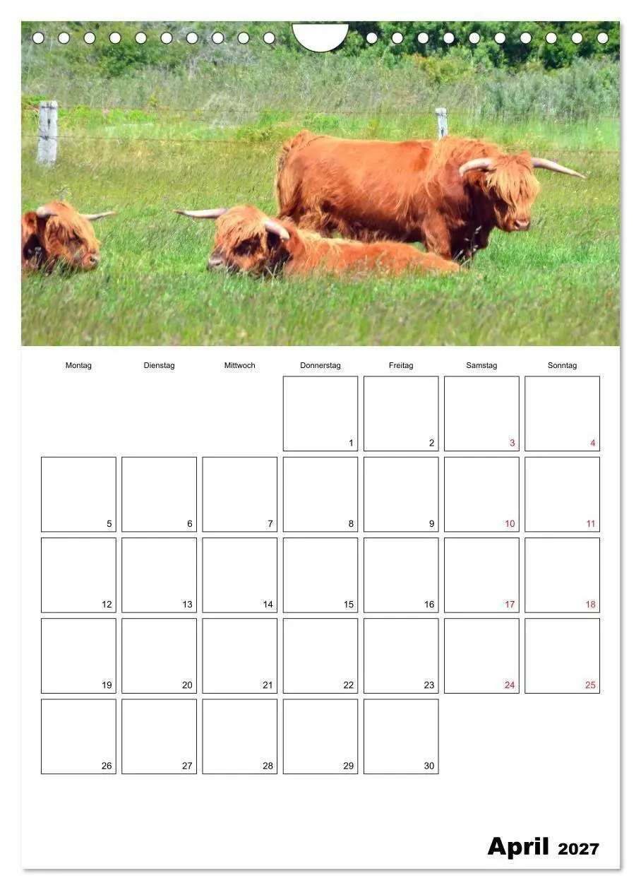 Bild: 9783569732476 | Langeoog - eine Trauminsel (Wandkalender 2027 DIN A4 hoch),...