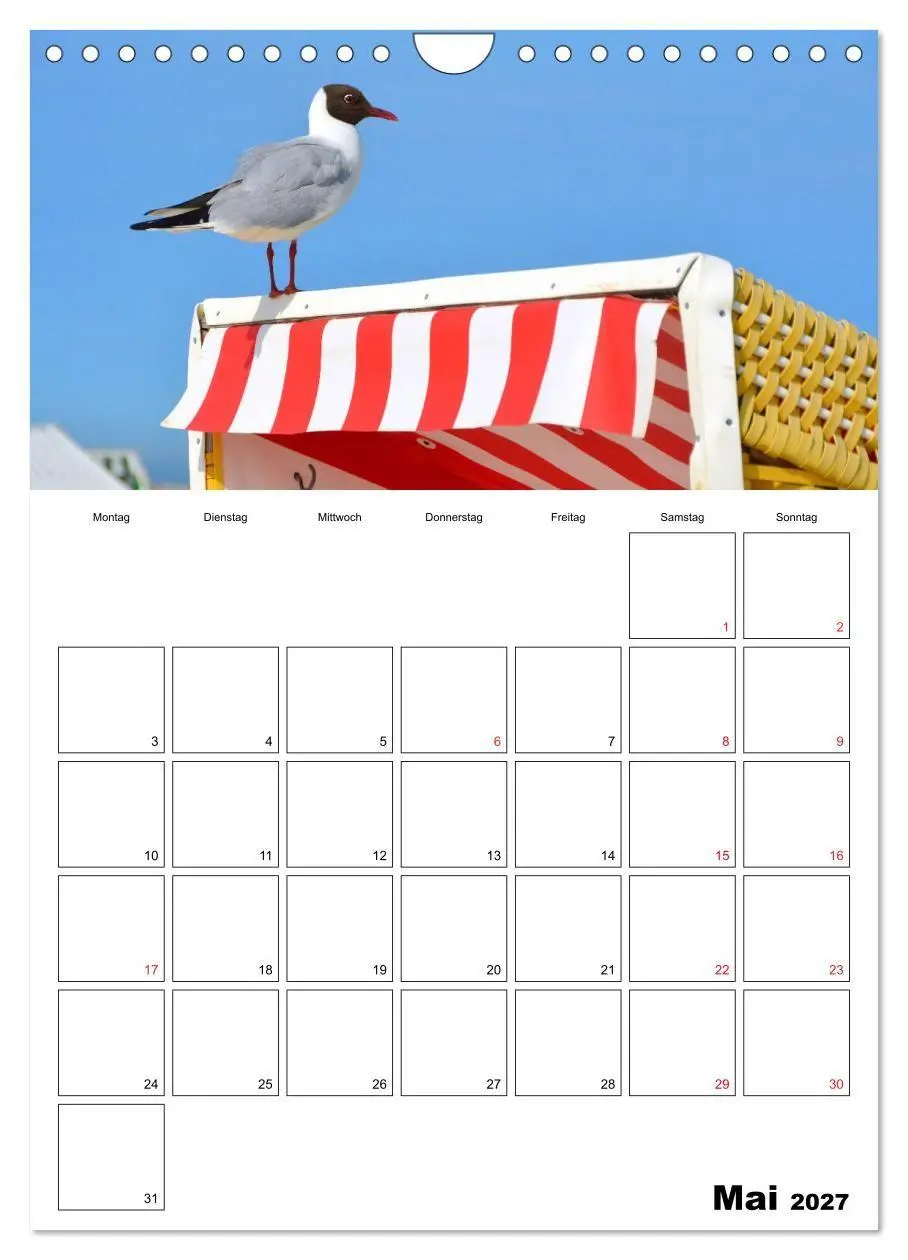 Bild: 9783569732476 | Langeoog - eine Trauminsel (Wandkalender 2027 DIN A4 hoch),...