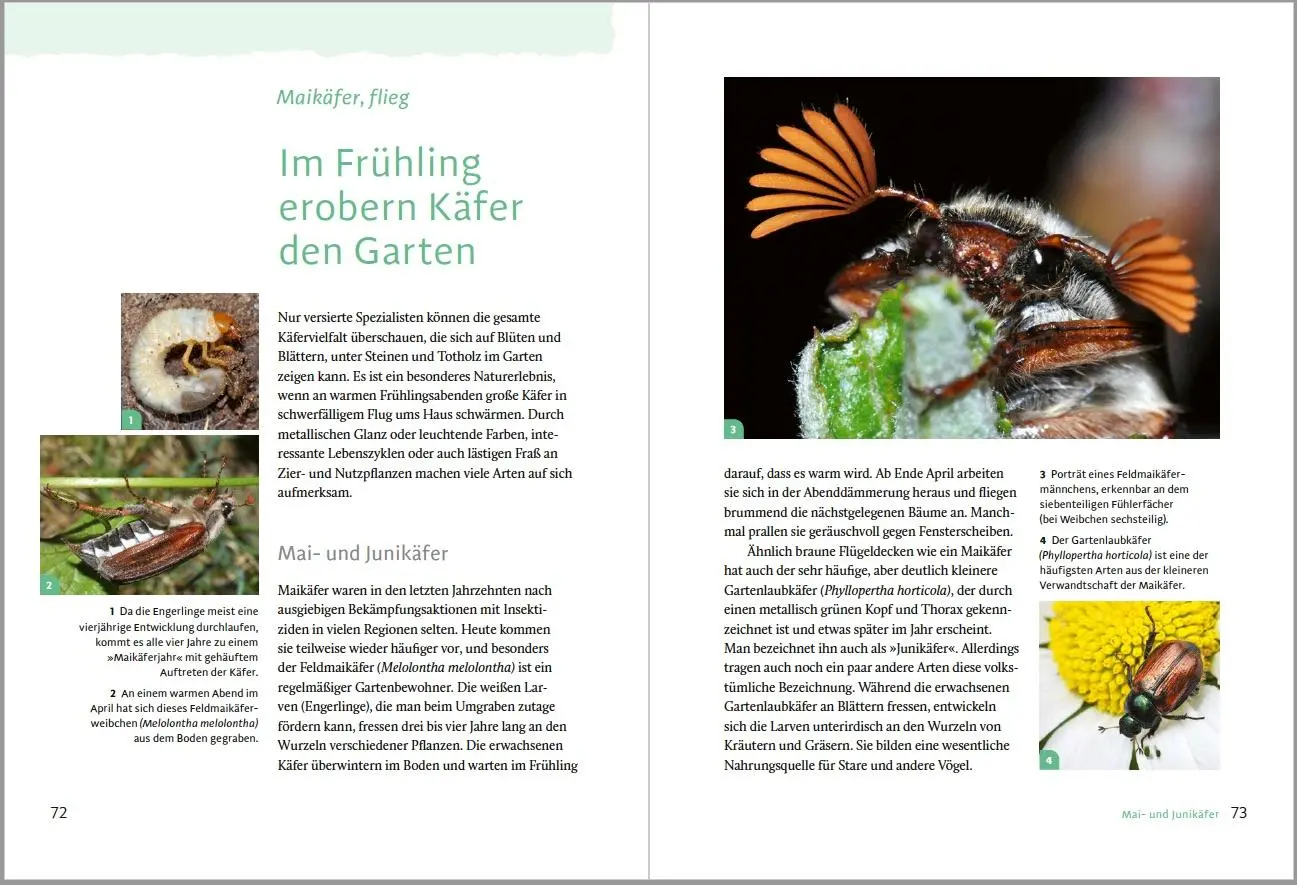 Bild: 9783962382476 | Gartensafari | Hannes Petrischak | Taschenbuch | 208 S. | Deutsch