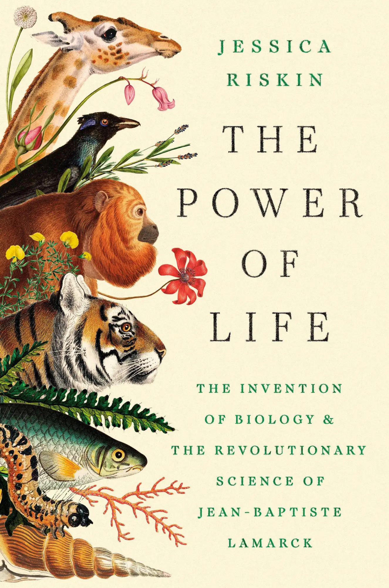 Cover: 9780593852576 | The Power of Life | Jessica Riskin | Buch | Einband - fest (Hardcover)