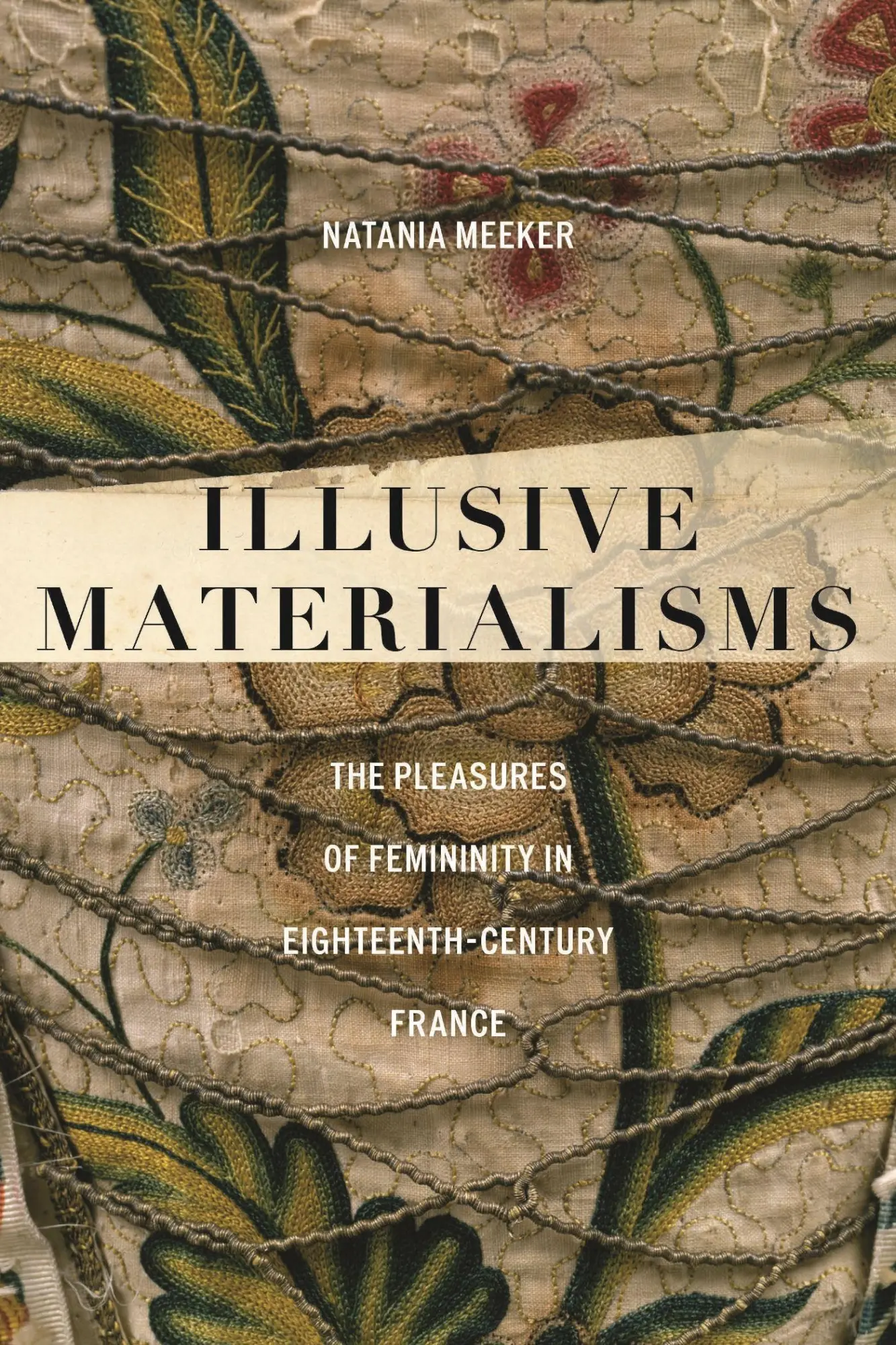 Cover: 9781531512576 | Illusive Materialisms | Natania Meeker | Taschenbuch | Englisch | 2026