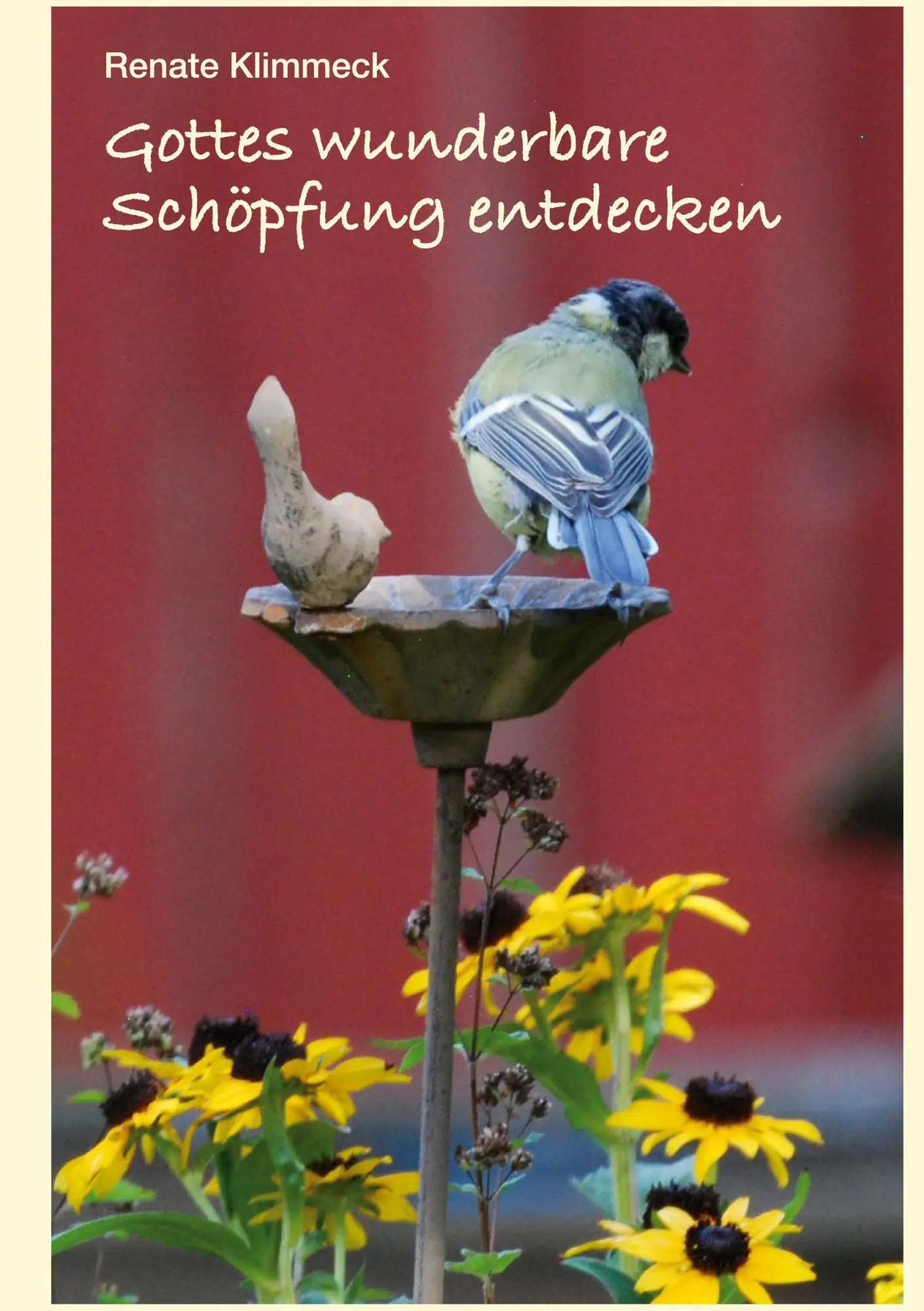 Cover: 9783819292576 | Gottes wunderbare Schöpfung entdecken | Renate Klimmeck | Buch | 64 S.