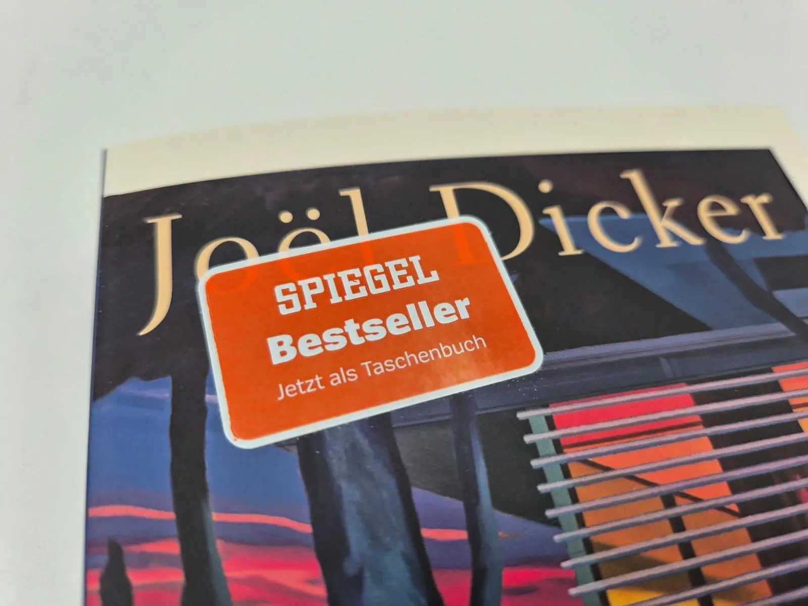 Bild: 9783492322676 | Ein ungezähmtes Tier | Joël Dicker | Taschenbuch | 432 S. | Deutsch