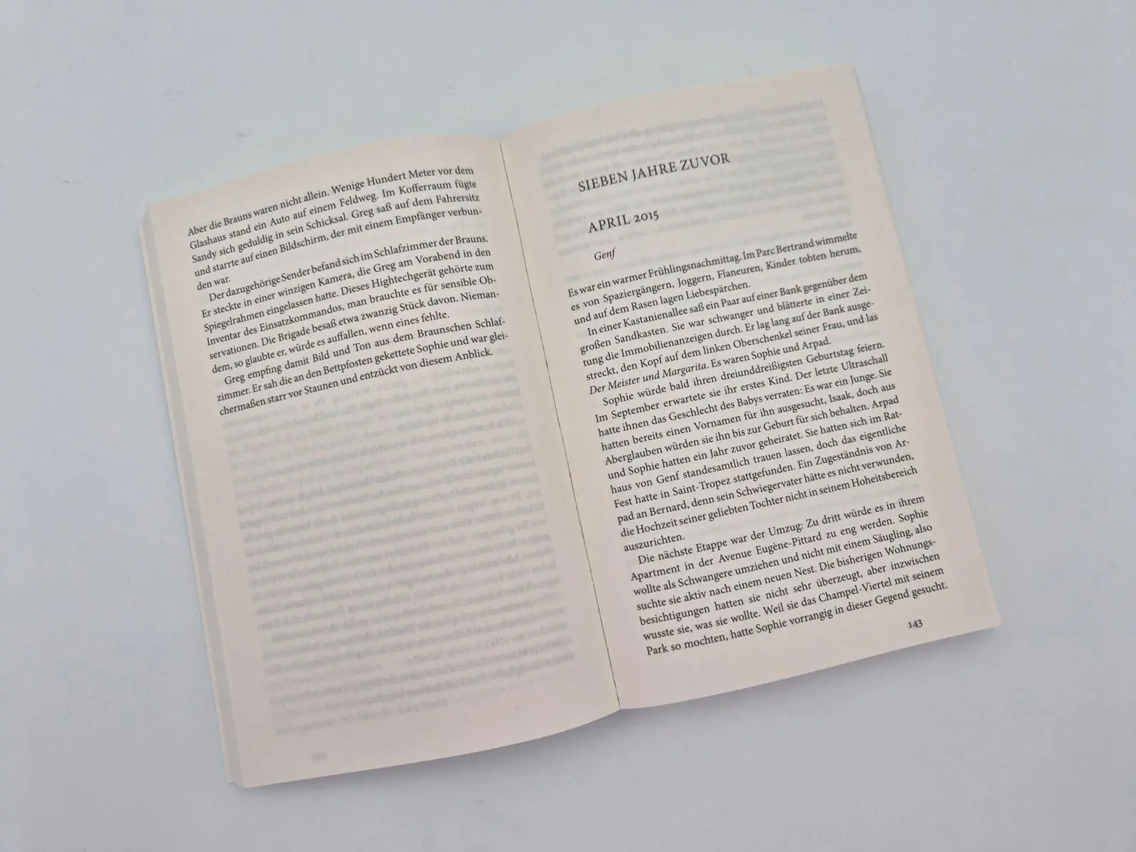 Bild: 9783492322676 | Ein ungezähmtes Tier | Joël Dicker | Taschenbuch | 432 S. | Deutsch