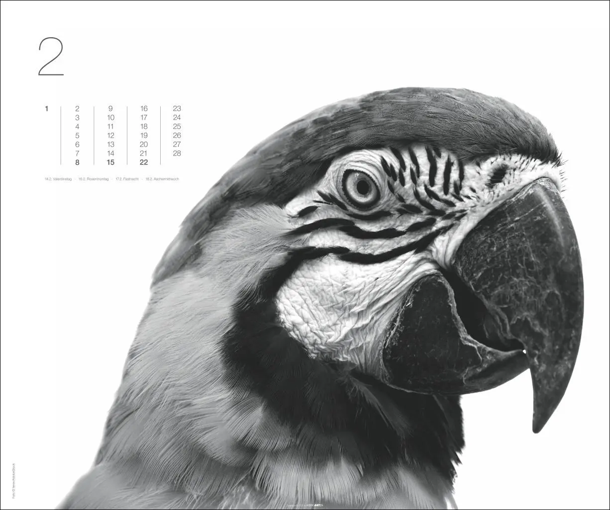 Bild: 9783839902776 | Black &amp; White Animals 2026 | Kalender | Spiralbindung | 14 S. | 2026