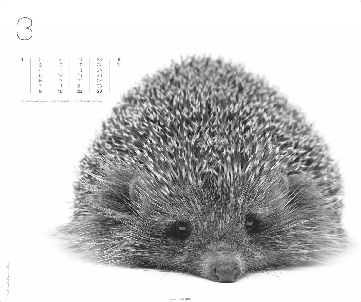 Bild: 9783839902776 | Black &amp; White Animals 2026 | Kalender | Spiralbindung | 14 S. | 2026