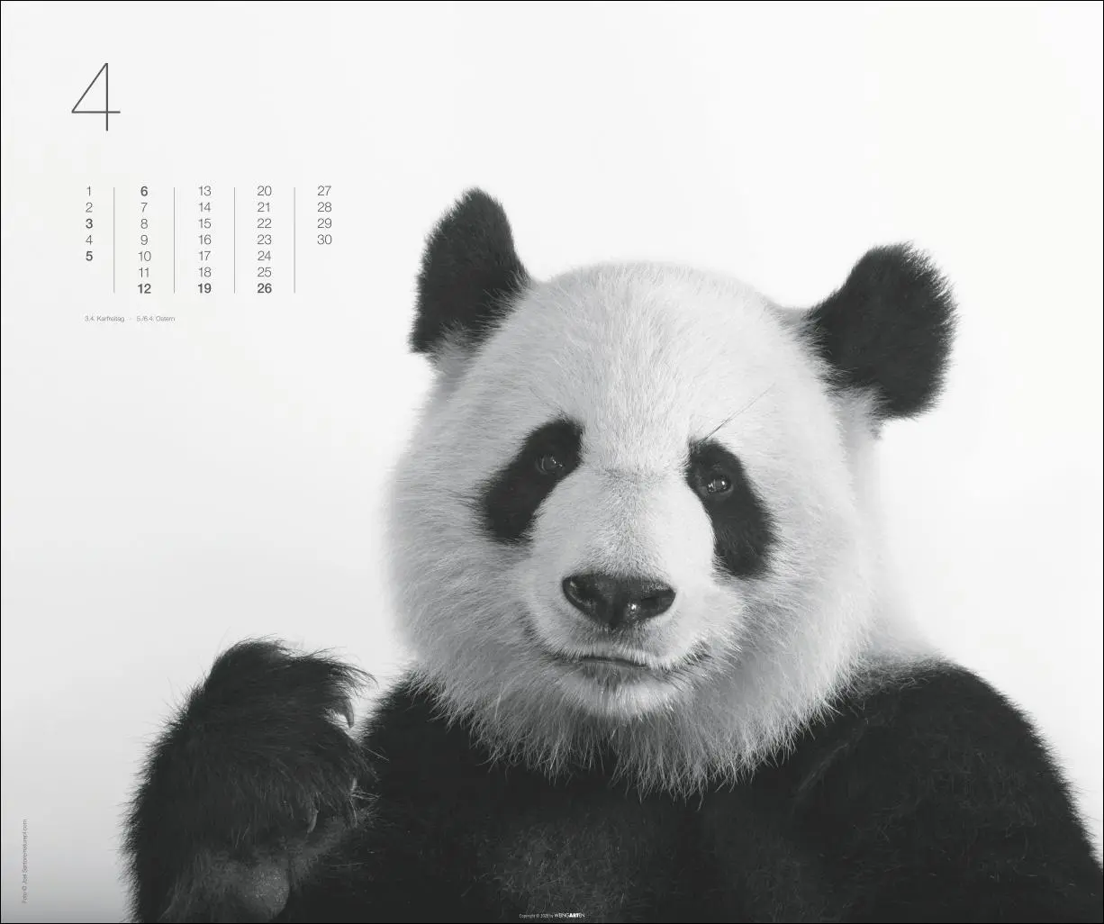 Bild: 9783839902776 | Black &amp; White Animals 2026 | Kalender | Spiralbindung | 14 S. | 2026