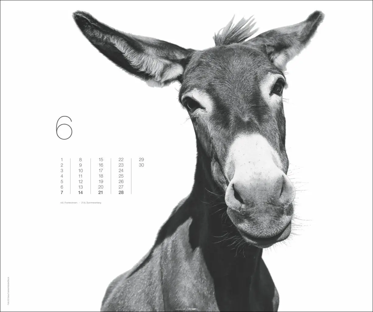 Bild: 9783839902776 | Black &amp; White Animals 2026 | Kalender | Spiralbindung | 14 S. | 2026