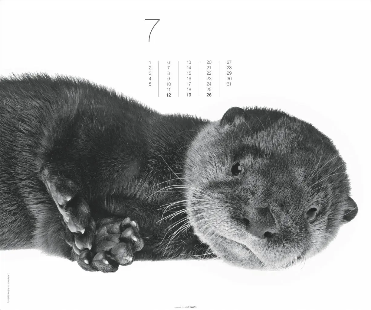 Bild: 9783839902776 | Black &amp; White Animals 2026 | Kalender | Spiralbindung | 14 S. | 2026