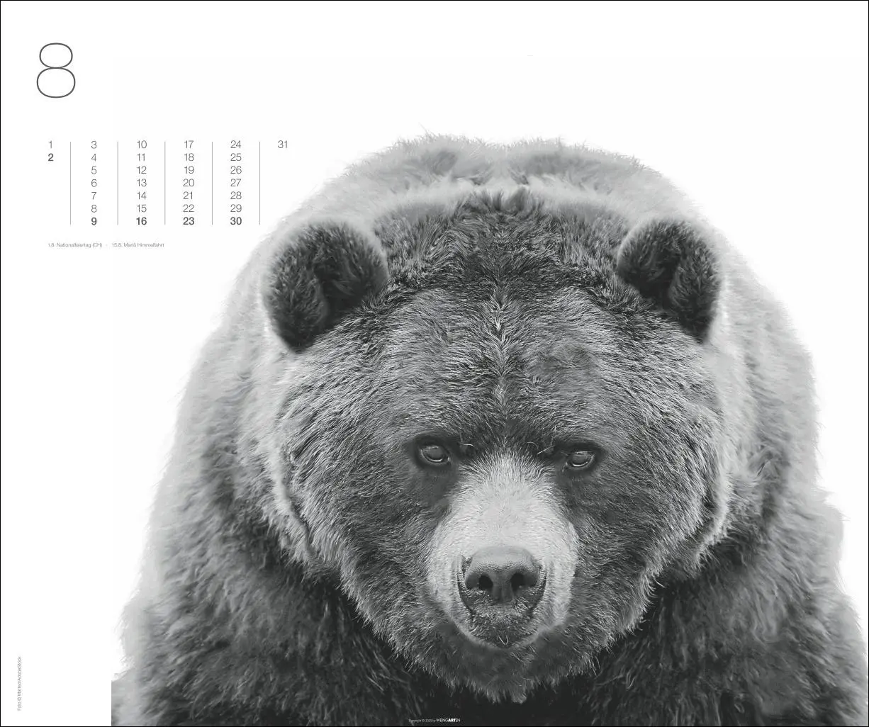 Bild: 9783839902776 | Black &amp; White Animals 2026 | Kalender | Spiralbindung | 14 S. | 2026