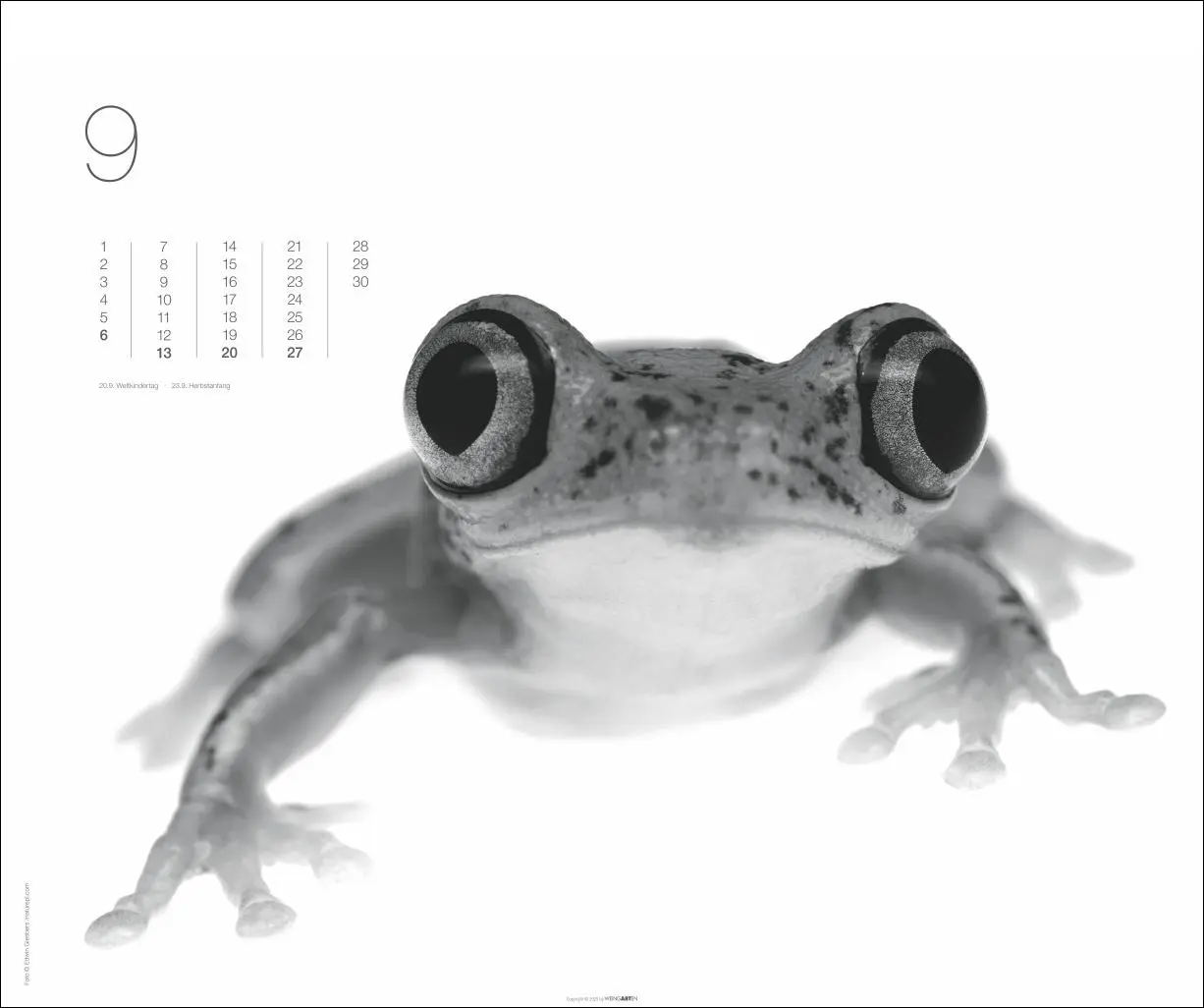 Bild: 9783839902776 | Black &amp; White Animals 2026 | Kalender | Spiralbindung | 14 S. | 2026