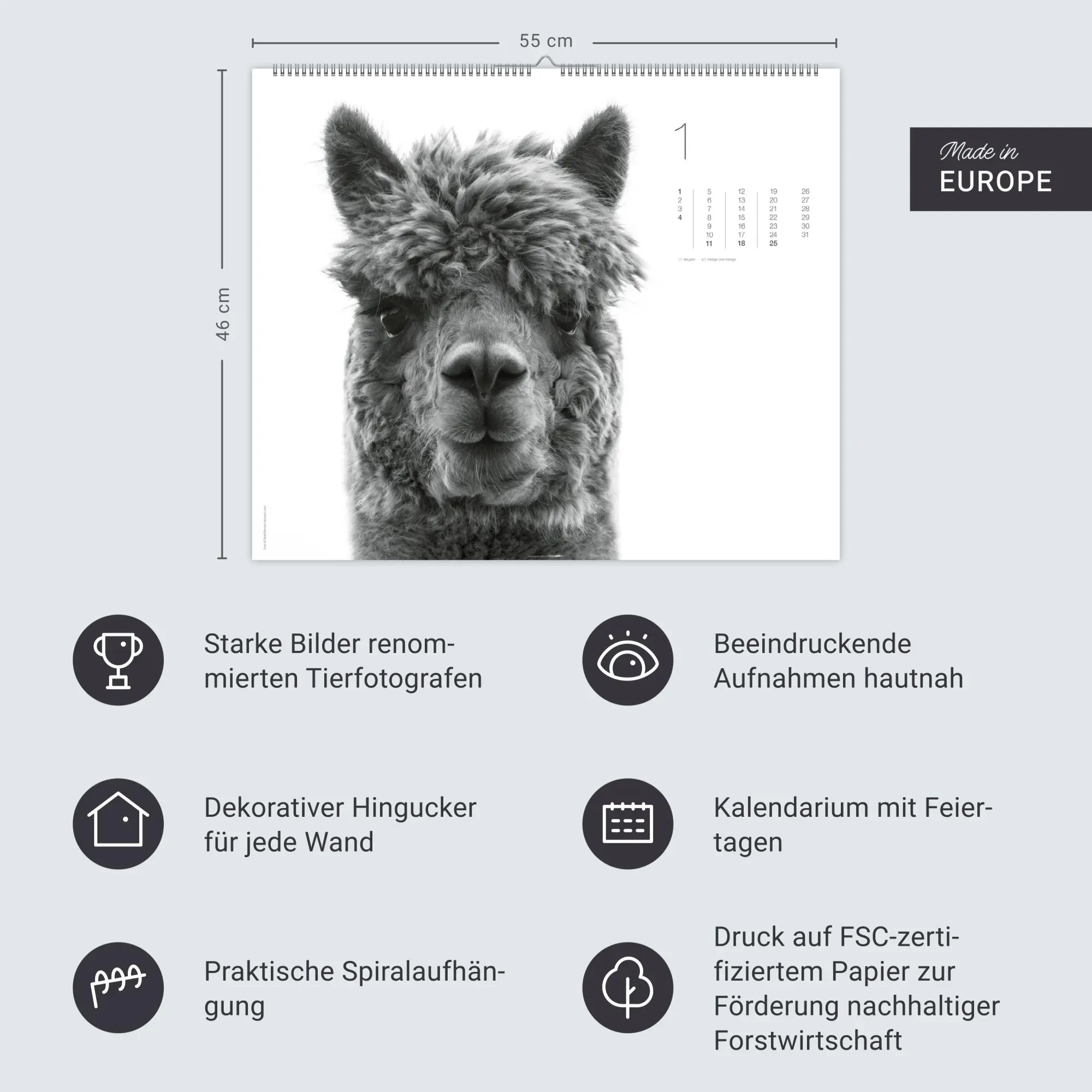 Bild: 9783839902776 | Black &amp; White Animals 2026 | Kalender | Spiralbindung | 14 S. | 2026