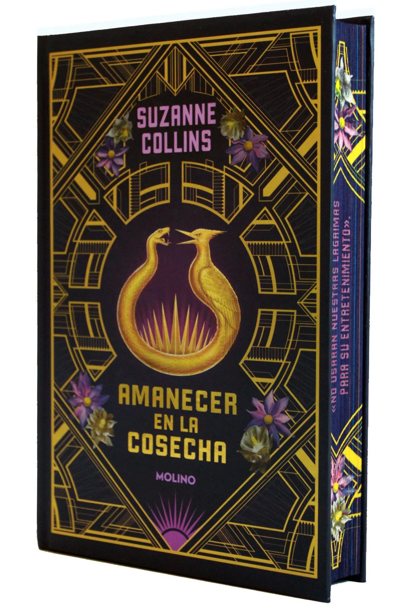 Cover: 9788427252776 | Amanecer En La Cosecha (Edición Especial Cantos Pintados) / Sunrise...