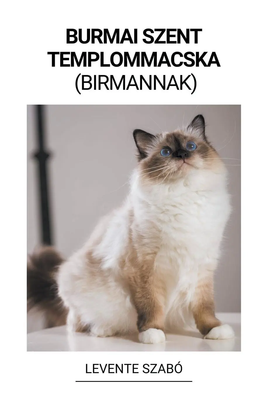 Cover: 9798215832776 | Burmai Szent Templommacska (Birmannak) | Levente Szabó | Taschenbuch