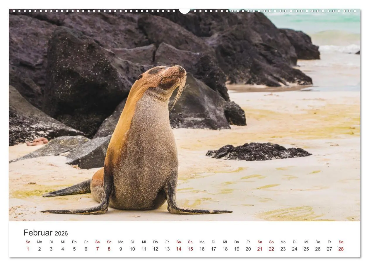 Bild: 9783457442876 | Ecuador - Unbeschreibliche Natur (Wandkalender 2026 DIN A2 quer),...