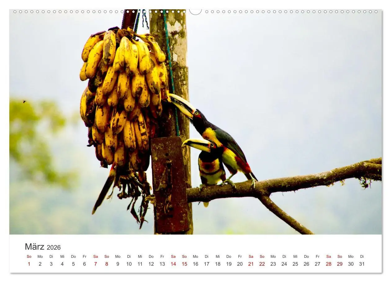 Bild: 9783457442876 | Ecuador - Unbeschreibliche Natur (Wandkalender 2026 DIN A2 quer),...