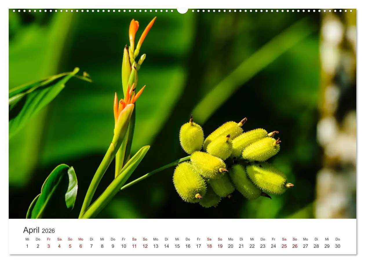 Bild: 9783457442876 | Ecuador - Unbeschreibliche Natur (Wandkalender 2026 DIN A2 quer),...