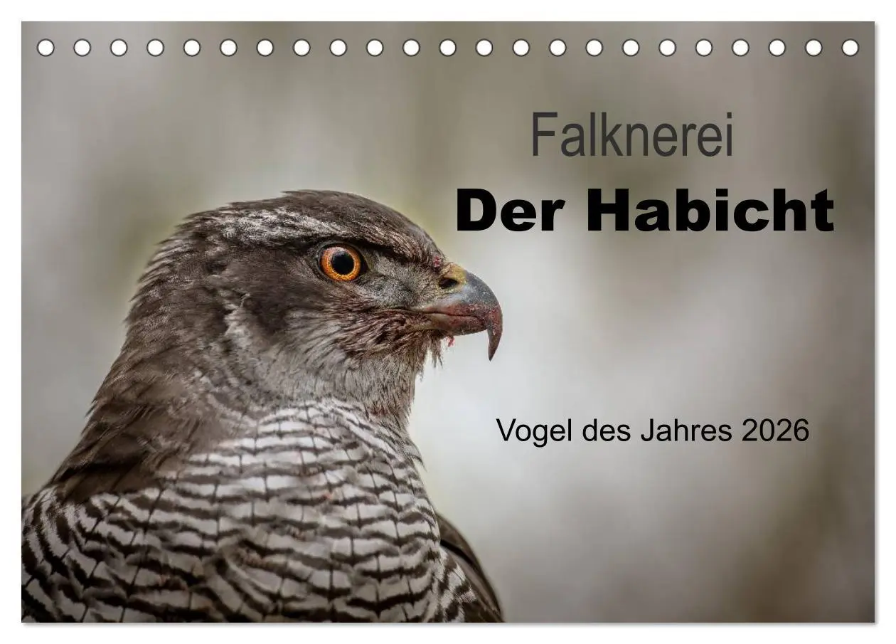 Cover: 9783516082876 | Falknerei Der Habicht (Tischkalender 2026 DIN A5 quer), CALVENDO...