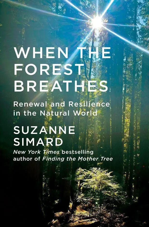 Cover: 9781524712976 | When the Forest Breathes | Renewal and Resilience in the Natural World