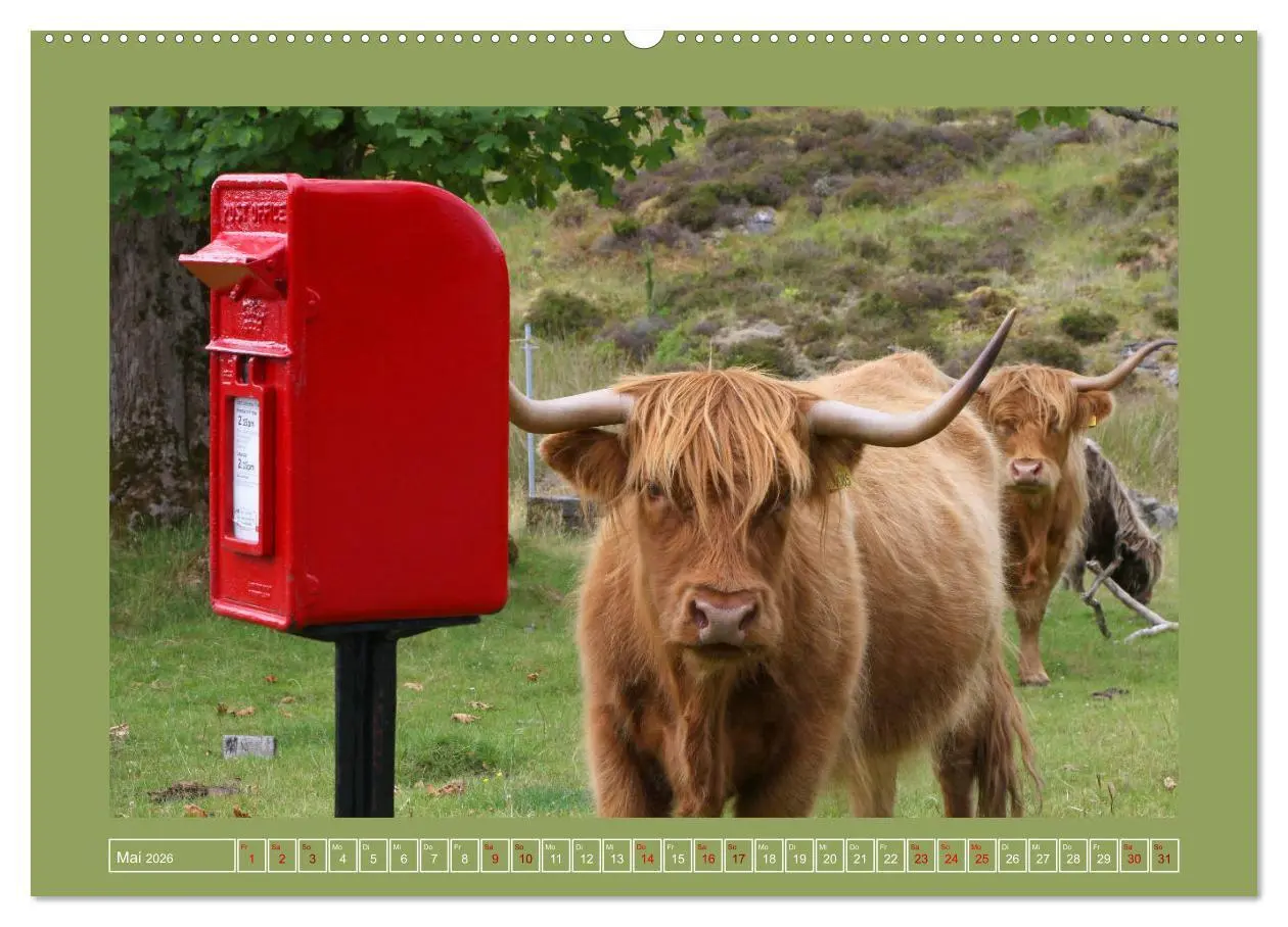 Bild: 9783457672976 | Sie haben Post - Briefkästen in Schottland (hochwertiger Premium...