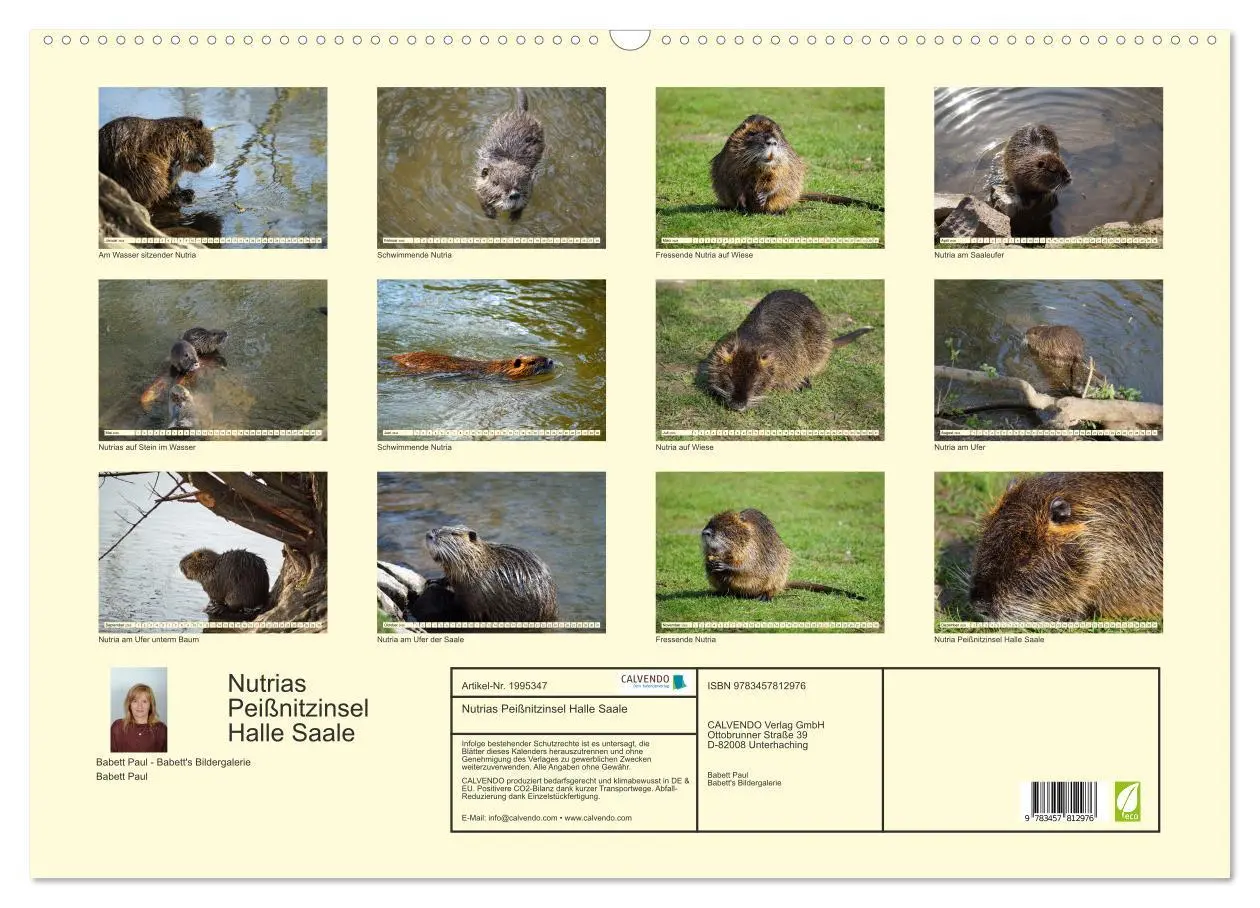 Bild: 9783457812976 | Nutrias Peißnitzinsel Halle Saale (Wandkalender 2026 DIN A2 quer),...