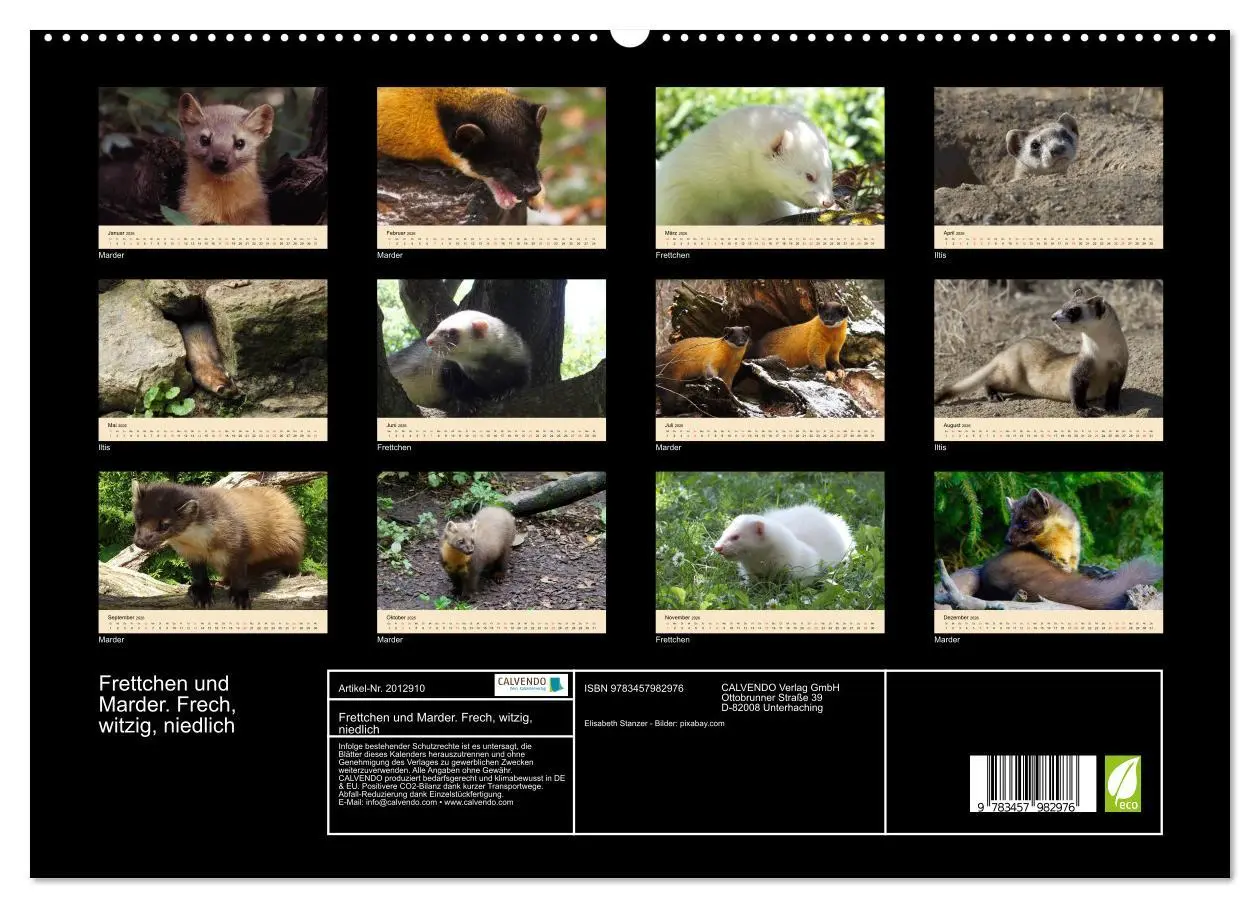 Bild: 9783457982976 | Frettchen und Marder. Frech, witzig, niedlich (hochwertiger Premium...