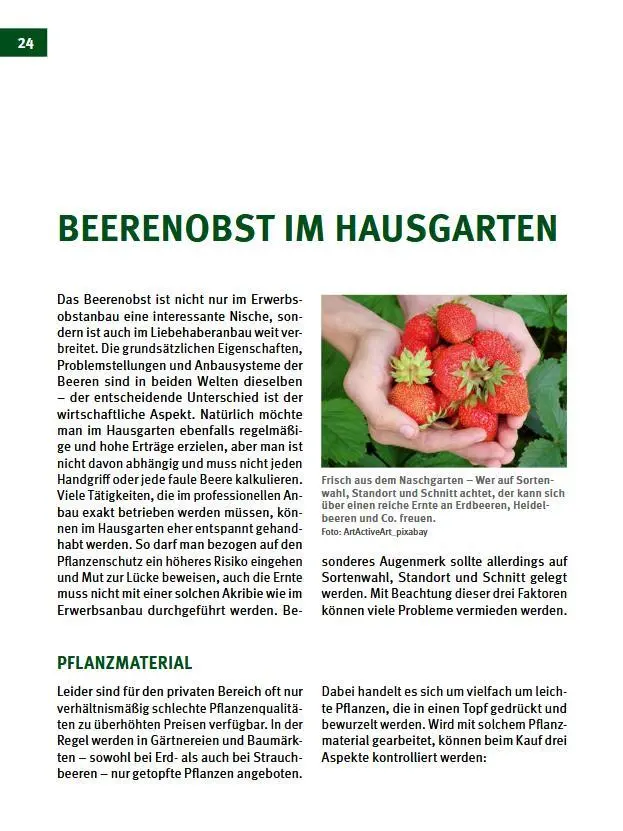 Bild: 9783702022976 | Beerenobst | Vom Anbau bis zur Verarbeitung | Fischerauer (u. a.)