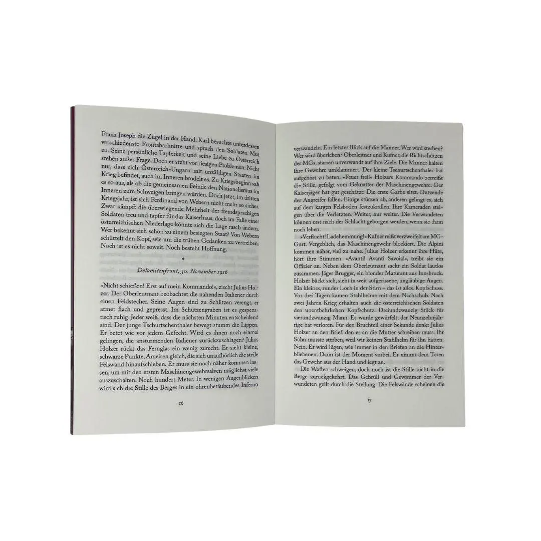 Bild: 9783990502976 | Der Sturz des Doppeladlers | Roman | Birgit Mosser | Taschenbuch