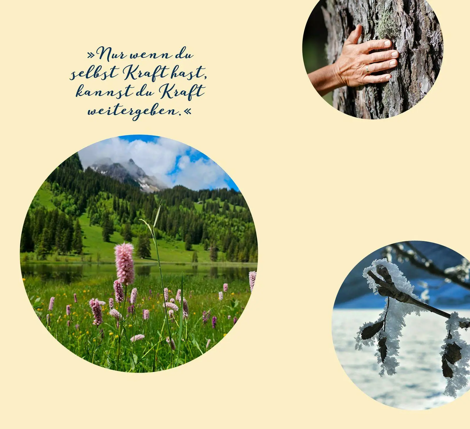 Bild: 9783426563076 | Tausend tanzende Laternen | Heilgeschichten aus der Natur | Uhl | Buch