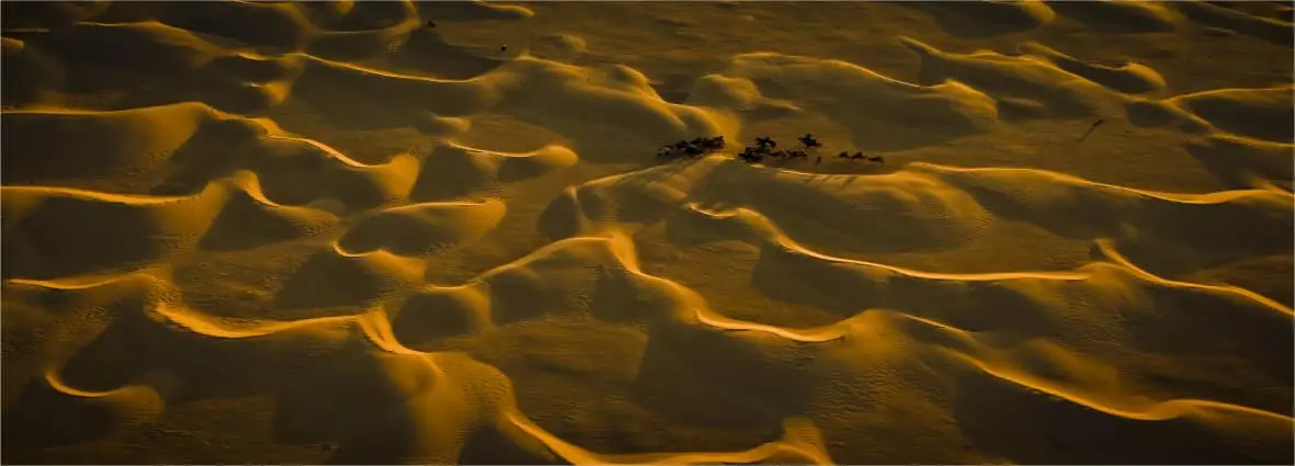 Bild: 9783952493076 | Das Blaue Juwel | Neue Gespräche mit unserer Erde | Pepper Lewis