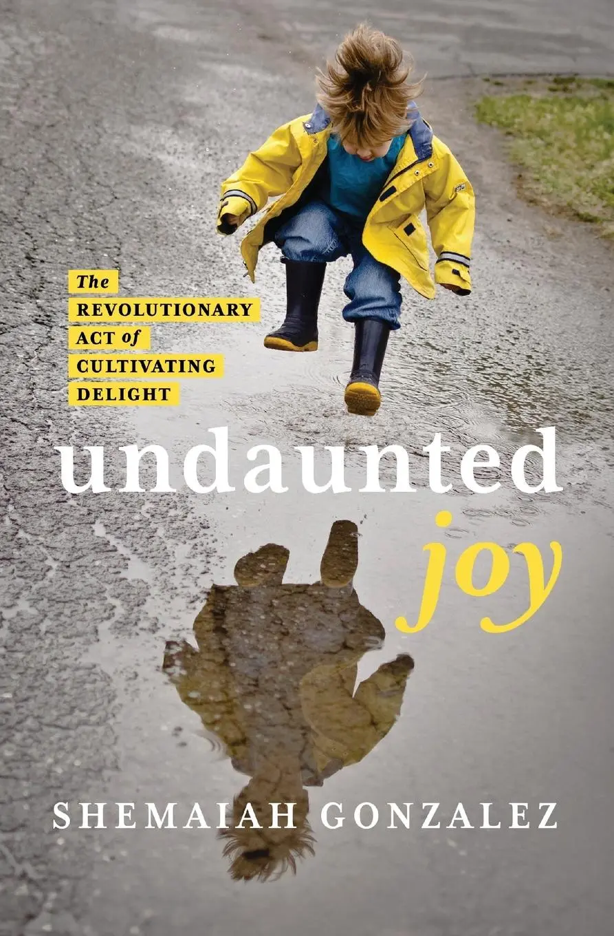 Cover: 9780310163176 | Undaunted Joy | The Revolutionary Act of Cultivating Delight | Buch