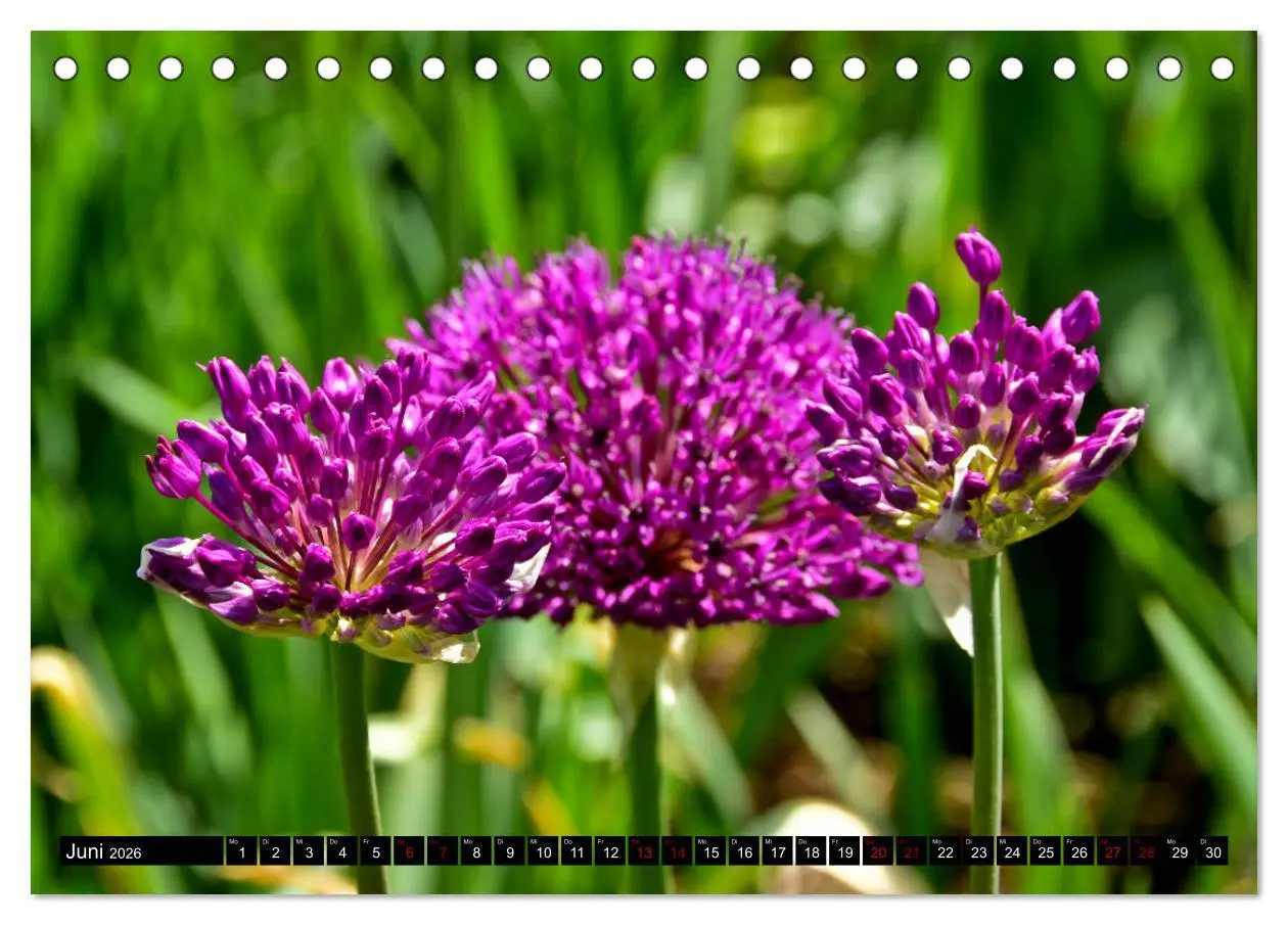Bild: 9783457933176 | Frühling im Mostviertel (Tischkalender 2026 DIN A5 quer), CALVENDO...