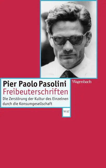 Cover: 9783803123176 | Freibeuterschriften | Pier Paolo Pasolini | Taschenbuch | 174 S.