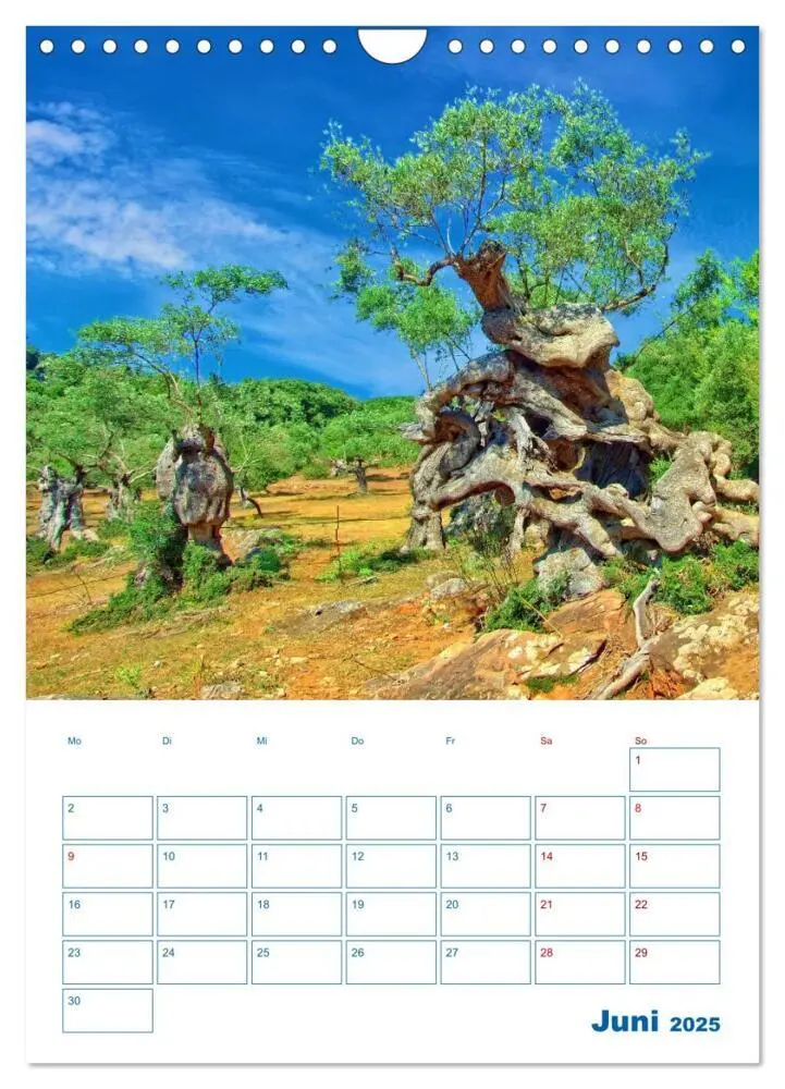 Bild: 9783383813276 | Sóller auf Mallorca - Terminplaner (Wandkalender 2025 DIN A4 hoch),...