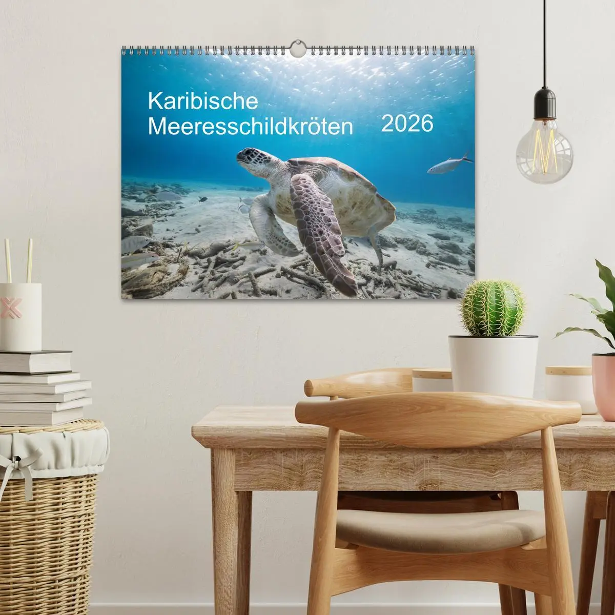 Bild: 9783457843376 | Karibische Meeresschildkröten (Wandkalender 2026 DIN A3 quer),...
