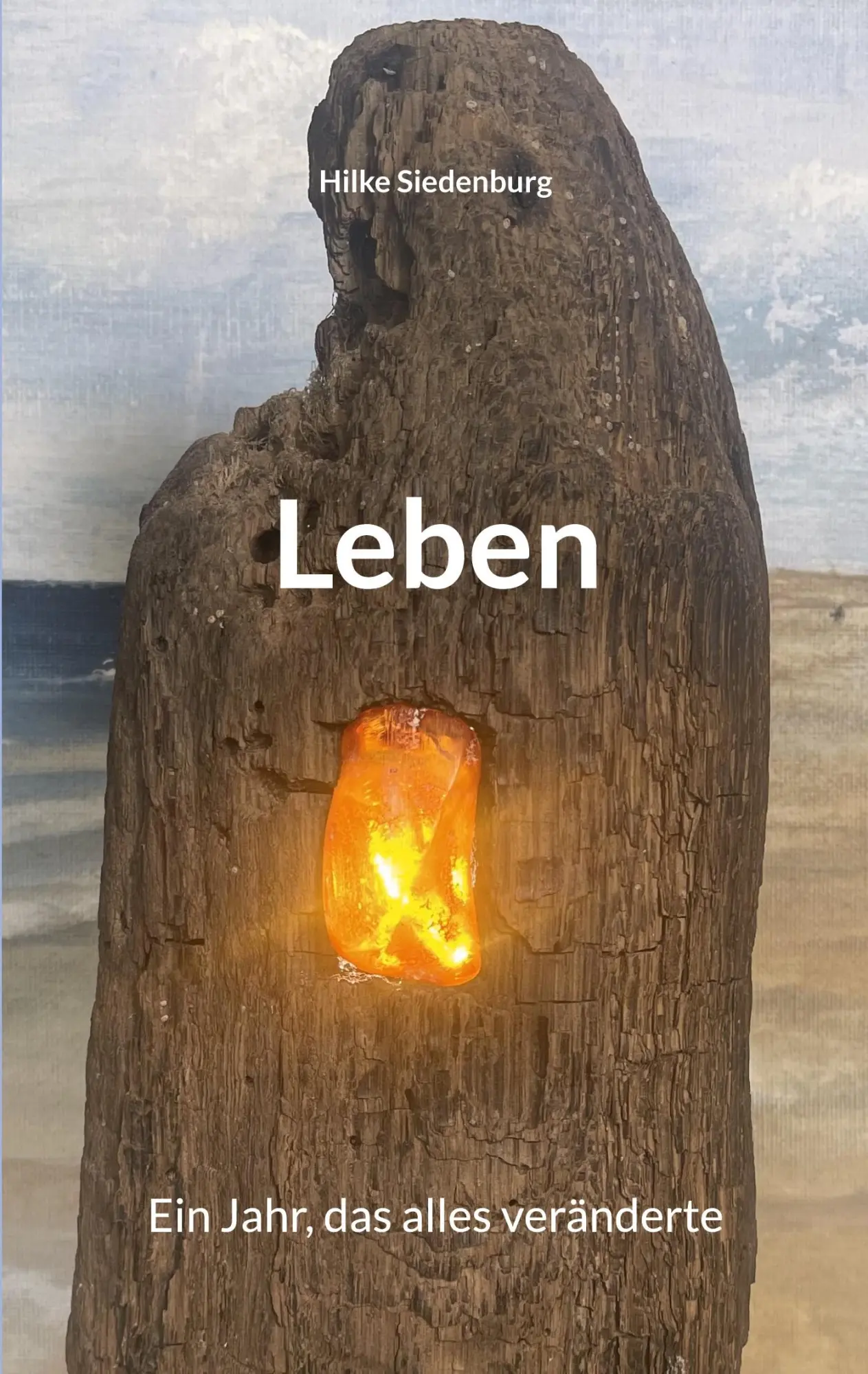 Cover: 9783819283376 | Leben | Ein Jahr, das alles veränderte | Hilke Siedenburg | Buch