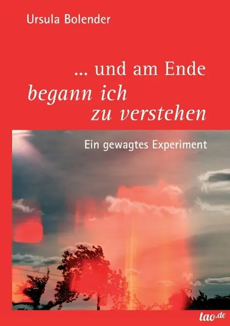 Cover: 9783955293376 | ... und am Ende begann ich zu verstehen | Ein gewagtes Experiment