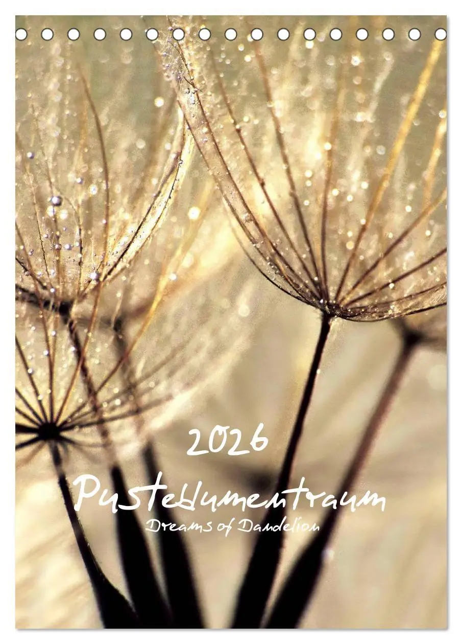 Cover: 9783516473476 | Pusteblumentraum - Dreams of Dandelion (Tischkalender 2026 DIN A5...