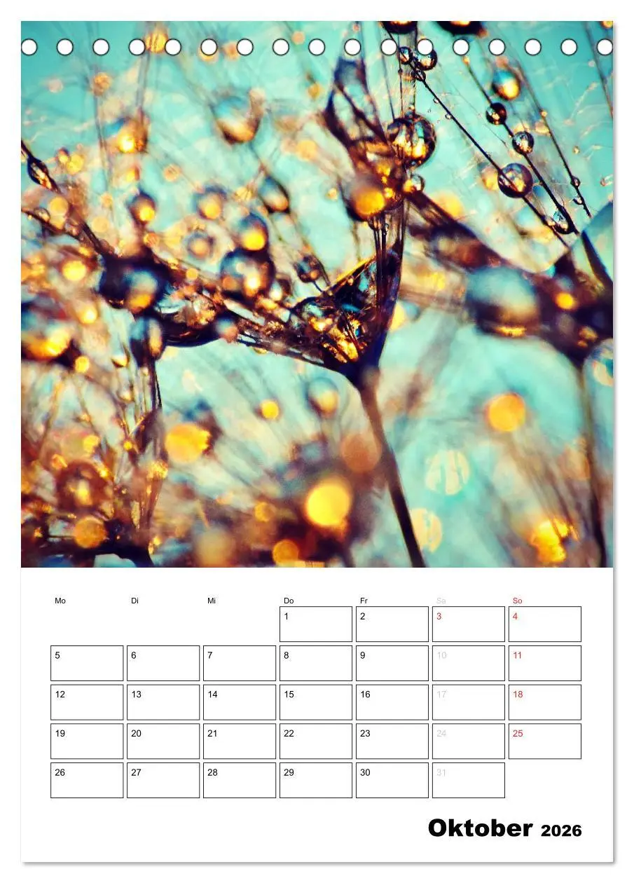 Bild: 9783516473476 | Pusteblumentraum - Dreams of Dandelion (Tischkalender 2026 DIN A5...