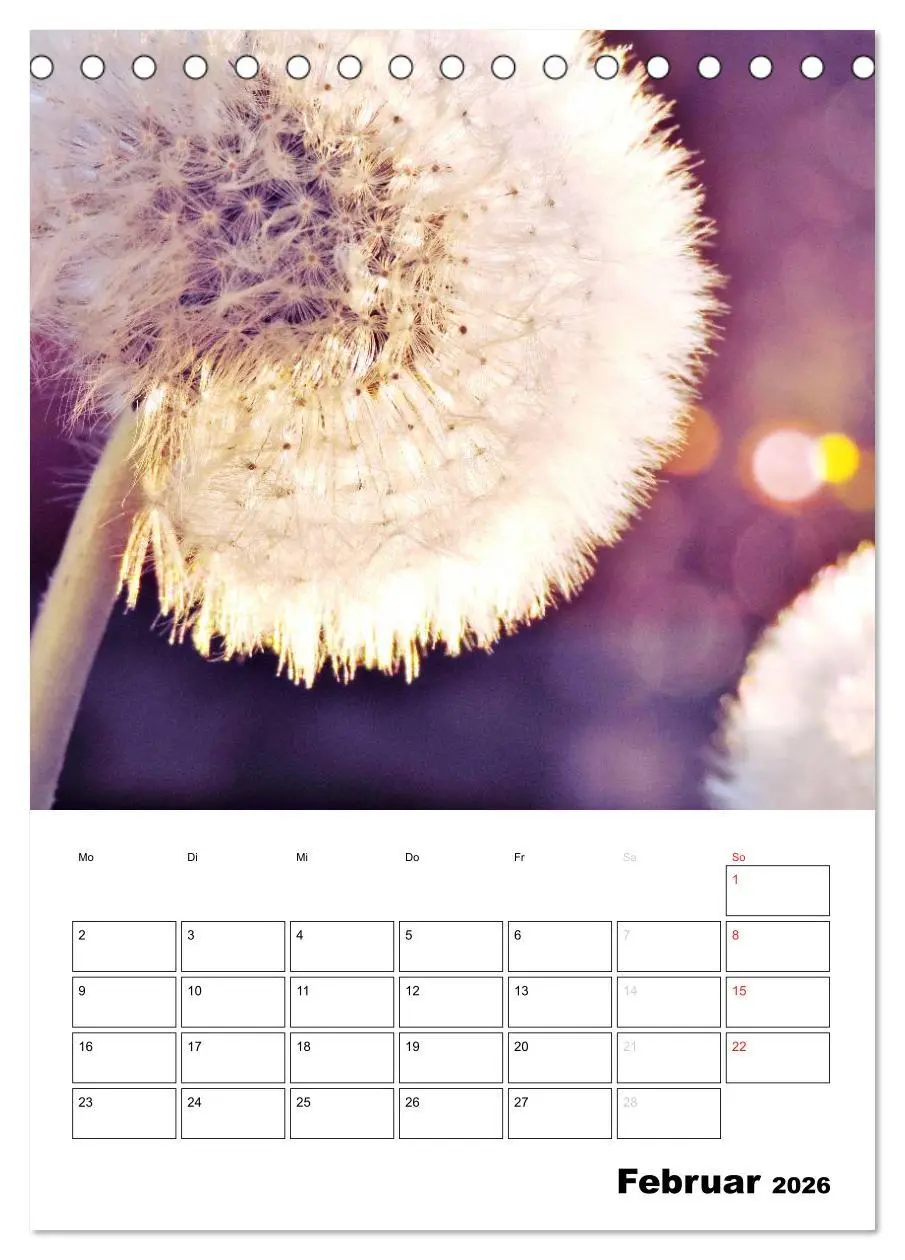 Bild: 9783516473476 | Pusteblumentraum - Dreams of Dandelion (Tischkalender 2026 DIN A5...