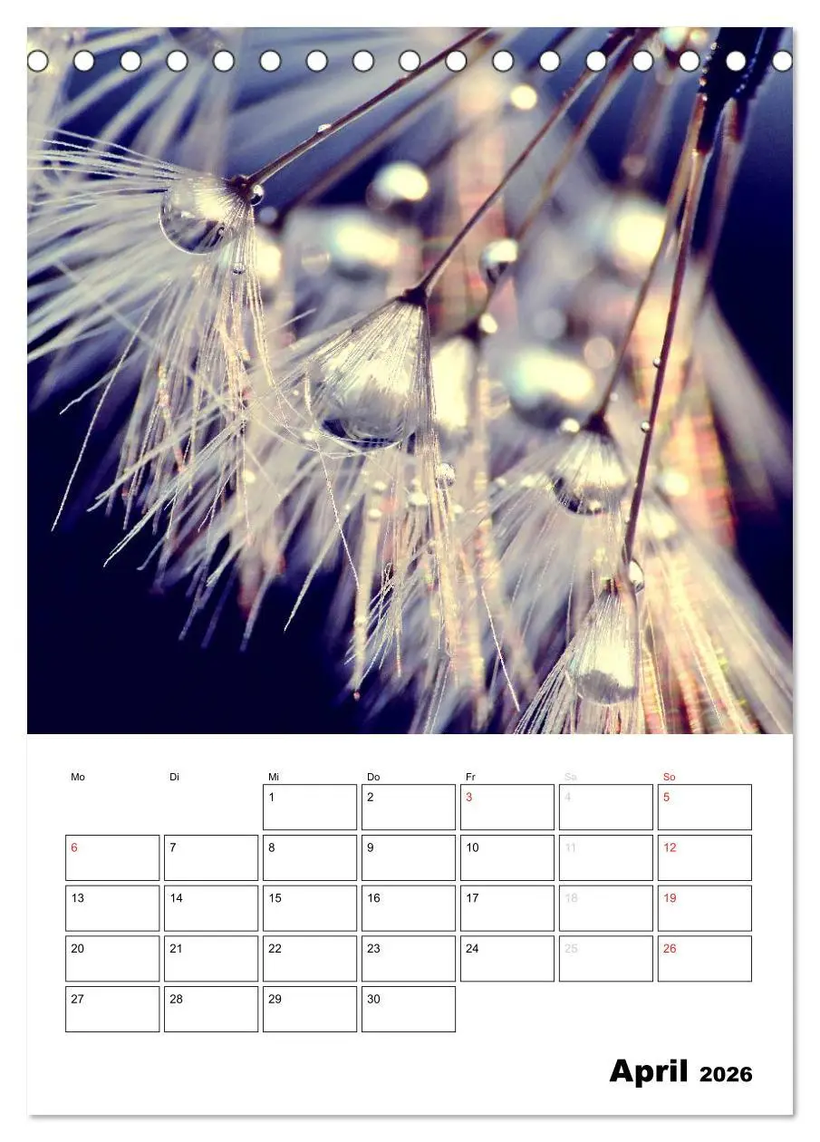 Bild: 9783516473476 | Pusteblumentraum - Dreams of Dandelion (Tischkalender 2026 DIN A5...