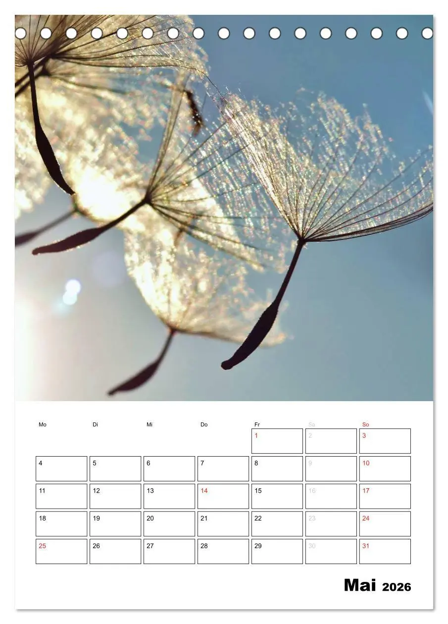 Bild: 9783516473476 | Pusteblumentraum - Dreams of Dandelion (Tischkalender 2026 DIN A5...