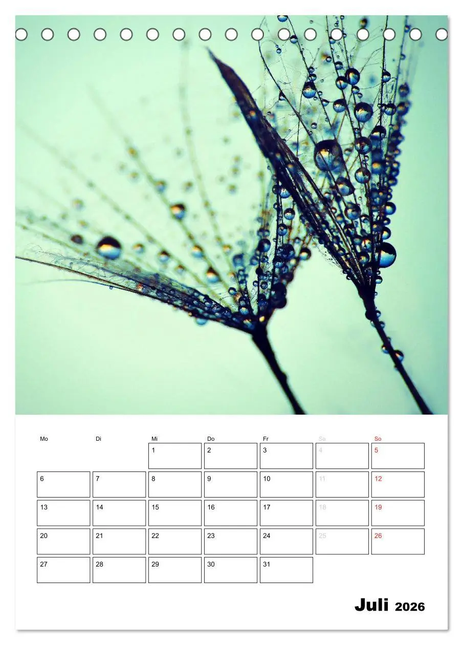 Bild: 9783516473476 | Pusteblumentraum - Dreams of Dandelion (Tischkalender 2026 DIN A5...
