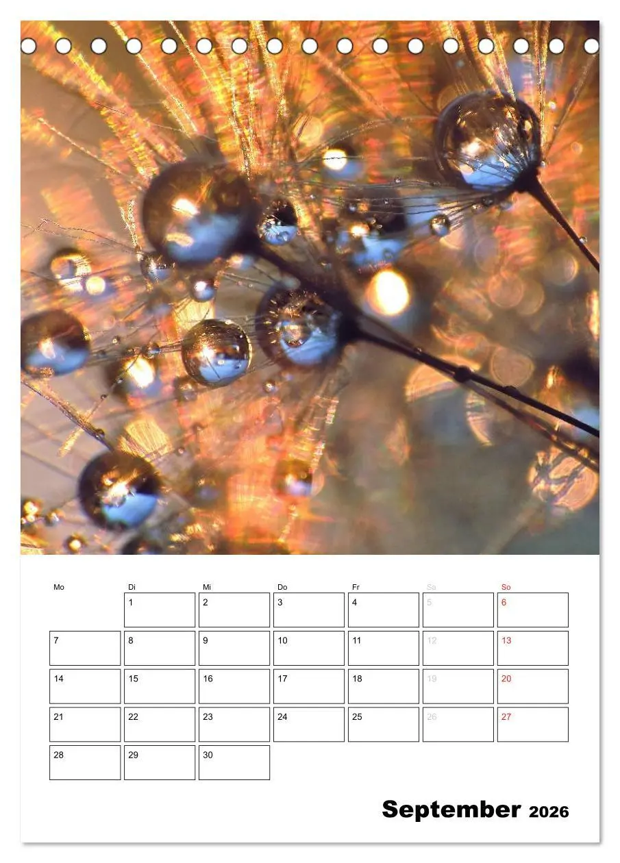 Bild: 9783516473476 | Pusteblumentraum - Dreams of Dandelion (Tischkalender 2026 DIN A5...